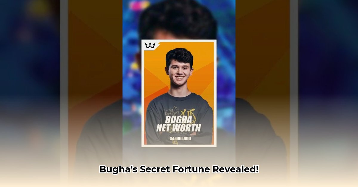 bughas-net-worth